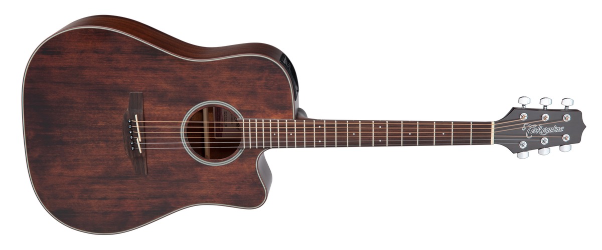 Takamine GD21CE Satin Molasses