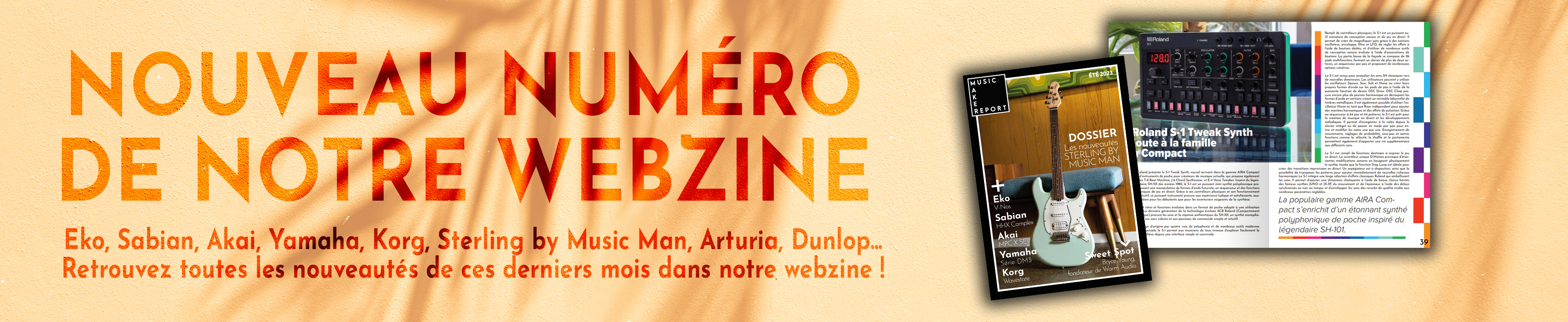 Webzine